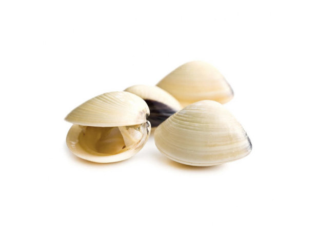 Whole cooked clam in shell 1kg