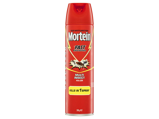 Mortein Fast Knockdown Insect Spray Multi Insect Killer 300g